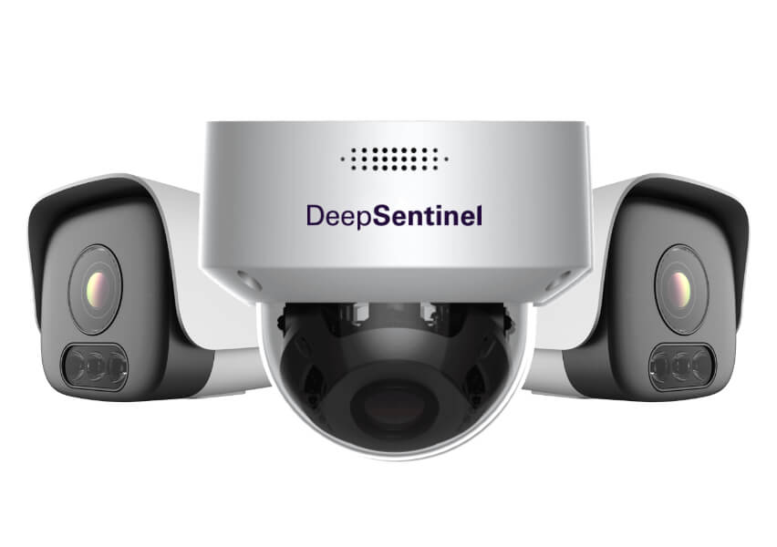 Deep Sentinel