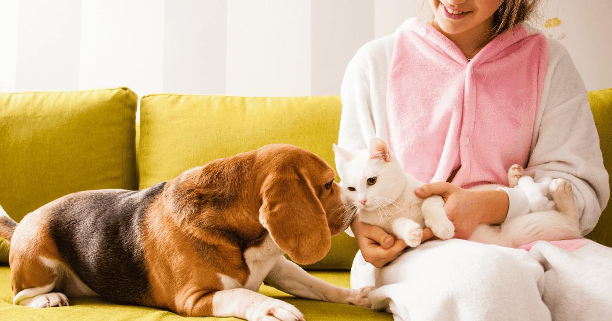 Apartment amenities that renters want Reasonable Care