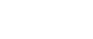 ds logo