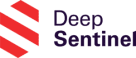 Deep Sentinel