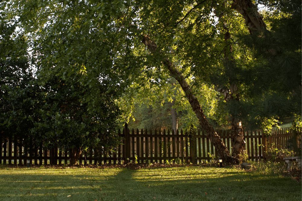 Backyard Security - 1000x667 Bolt Cutter-Proof Locks and Padlocks
