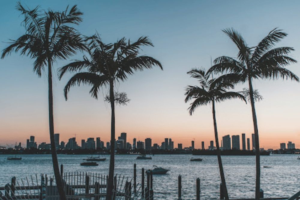 Safest Cities in Florida - 1000x667 Bolt Cutter-Proof Locks and Padlocks