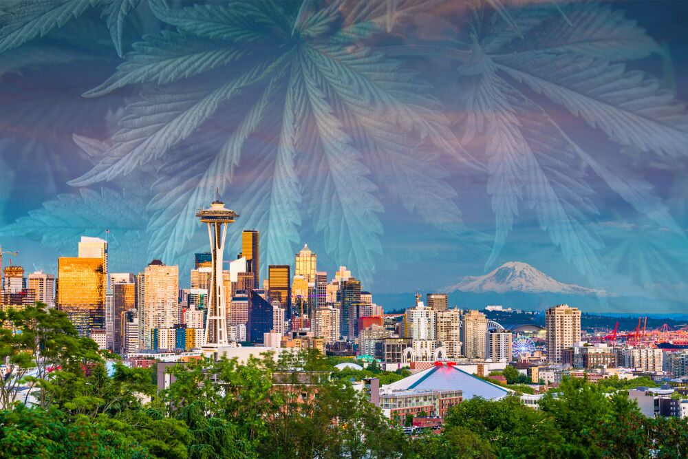 Starting a Cannabis Business in Washington - 1000x667 Starting a Cannabis Business in Washington