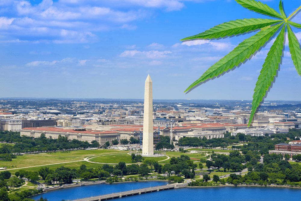 Starting a Cannabis Business in Washington DC Starting a Cannabis Business in Washington DC