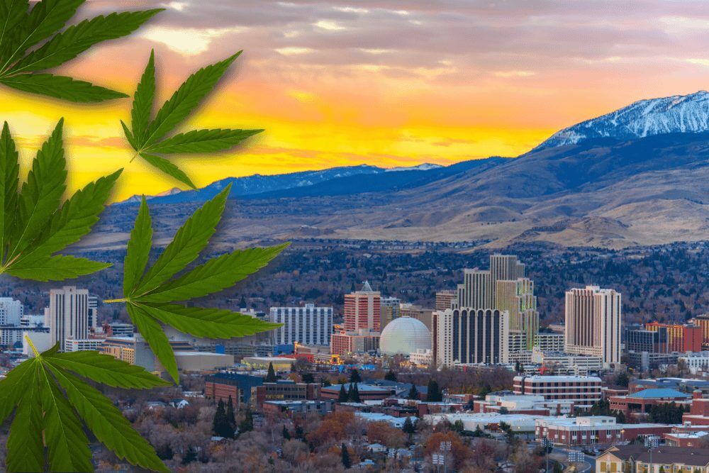 Starting a Cannabis Business in Nevada Starting a Cannabis Business in Nevada