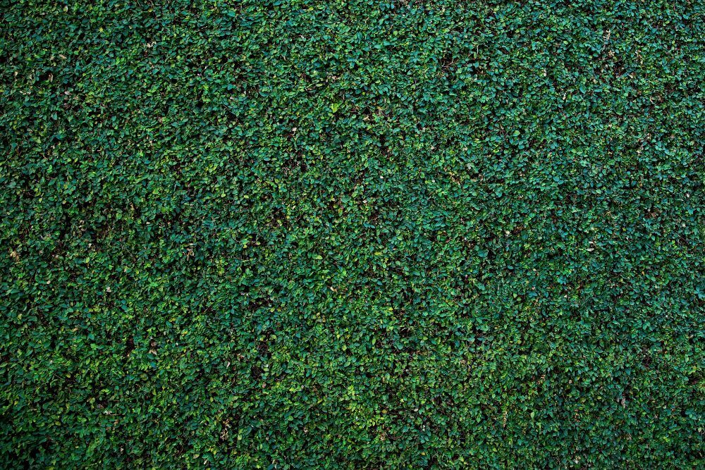 Landscaping for Security and Privacy Landscaping for Security and Privacy